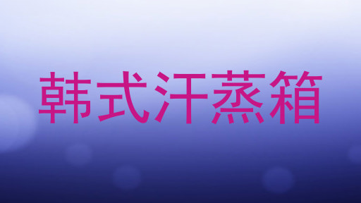 韩式汗蒸箱