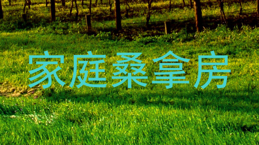 家庭桑拿房