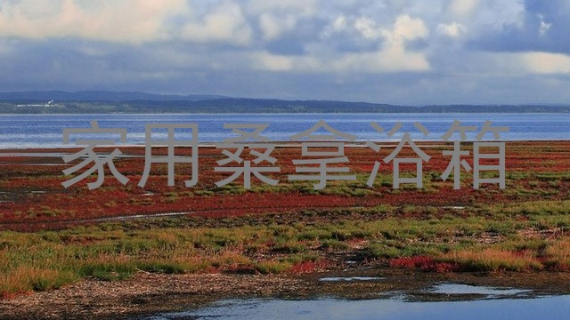 家用桑拿浴箱
