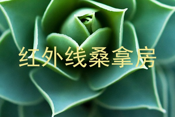 红外线桑拿房