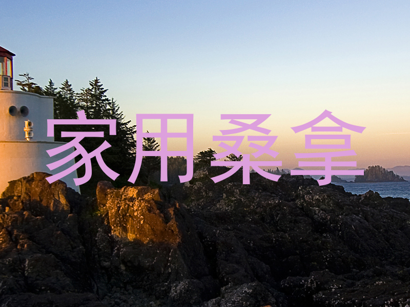 家用桑拿