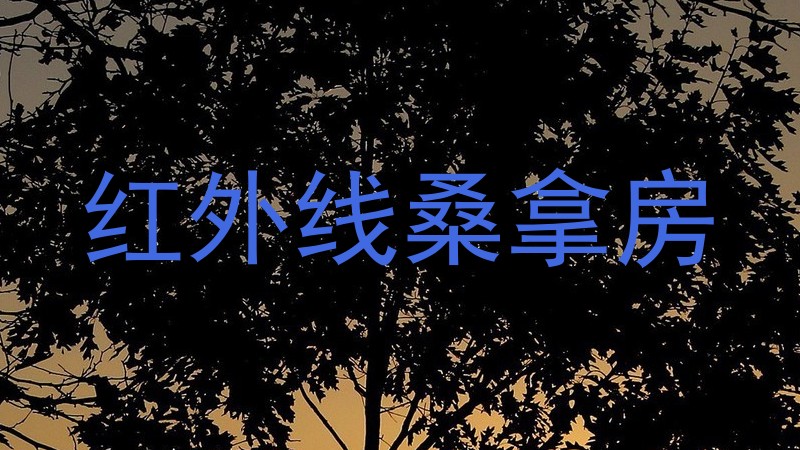 红外线桑拿房
