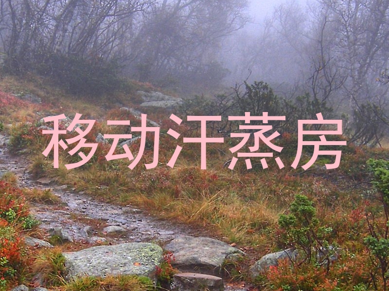 移动汗蒸房