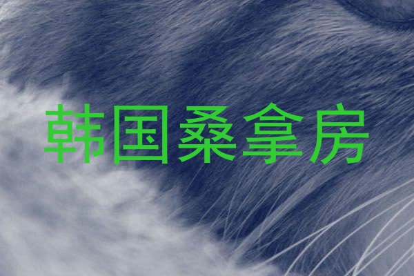 韩国桑拿房