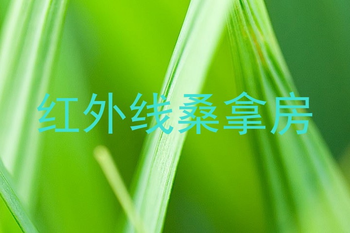 红外线桑拿房