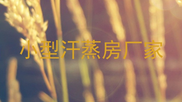 小型汗蒸房厂家