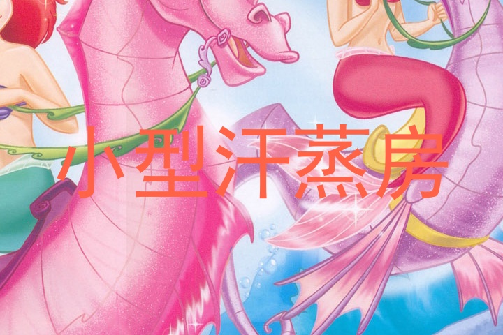 小型汗蒸房