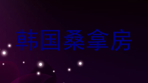 韩国桑拿房