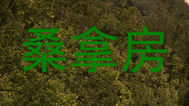 桑拿房