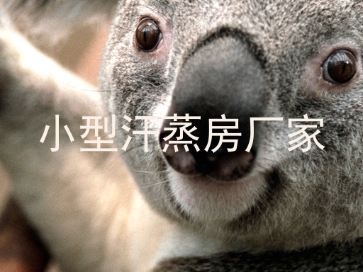 小型汗蒸房厂家