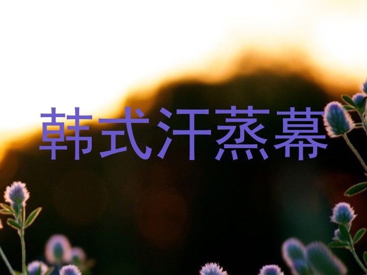 韩式汗蒸幕