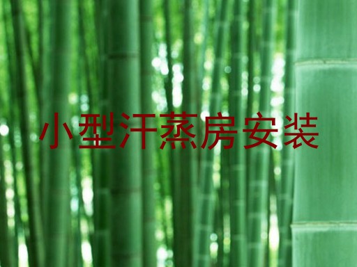 小型汗蒸房安装