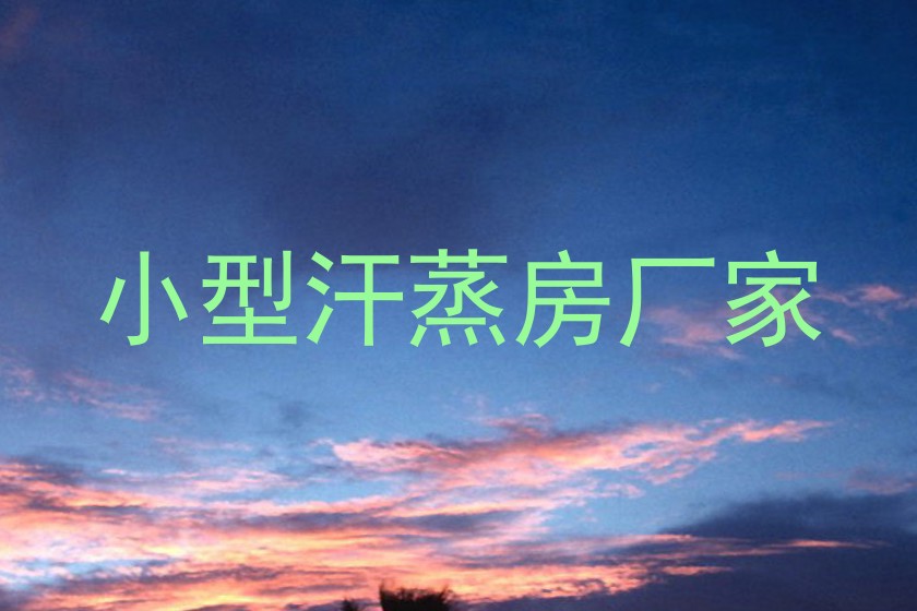 小型汗蒸房厂家