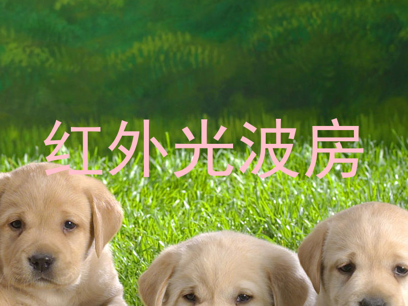 红外光波房
