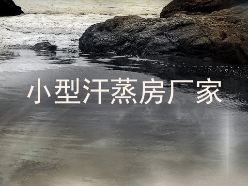 小型汗蒸房厂家