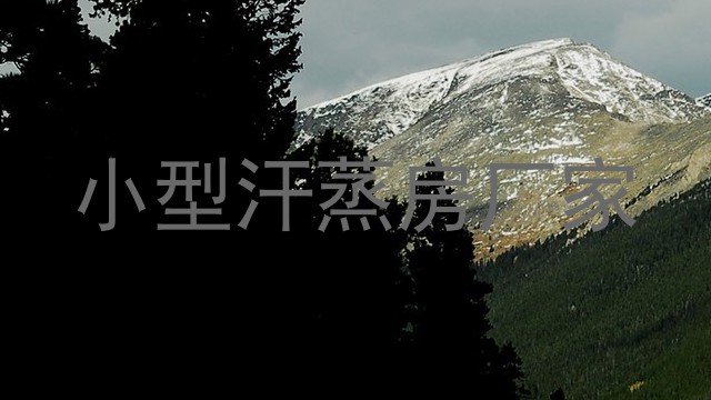 小型汗蒸房厂家