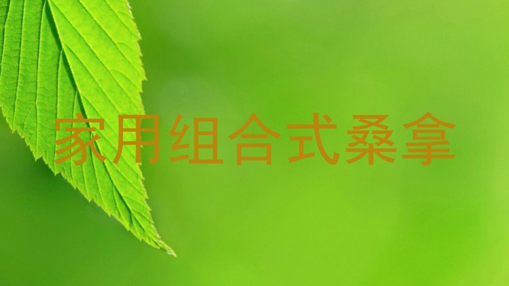 家用组合式桑拿