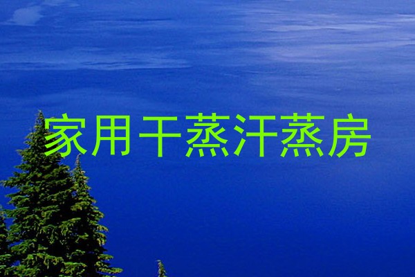 家用干蒸汗蒸房