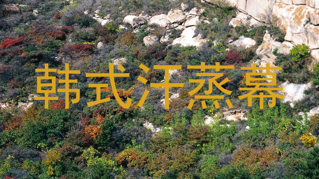 韩式汗蒸幕
