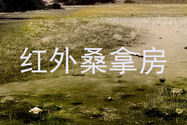 红外桑拿房