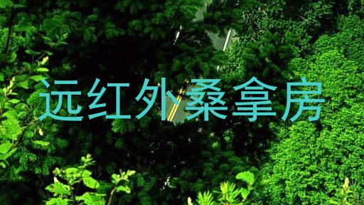远红外桑拿房