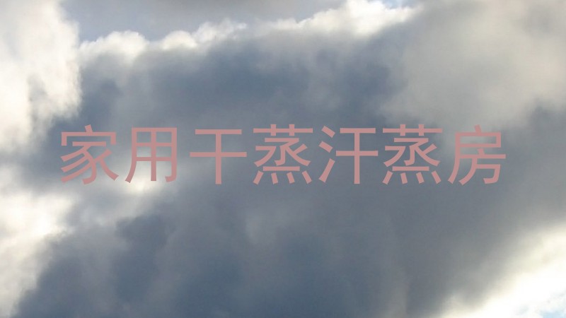 家用干蒸汗蒸房