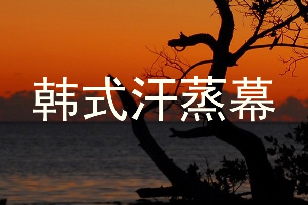 韩式汗蒸幕