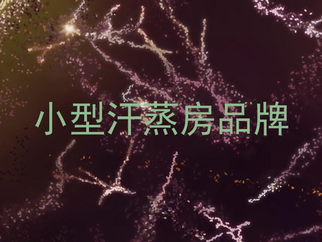 小型汗蒸房品牌
