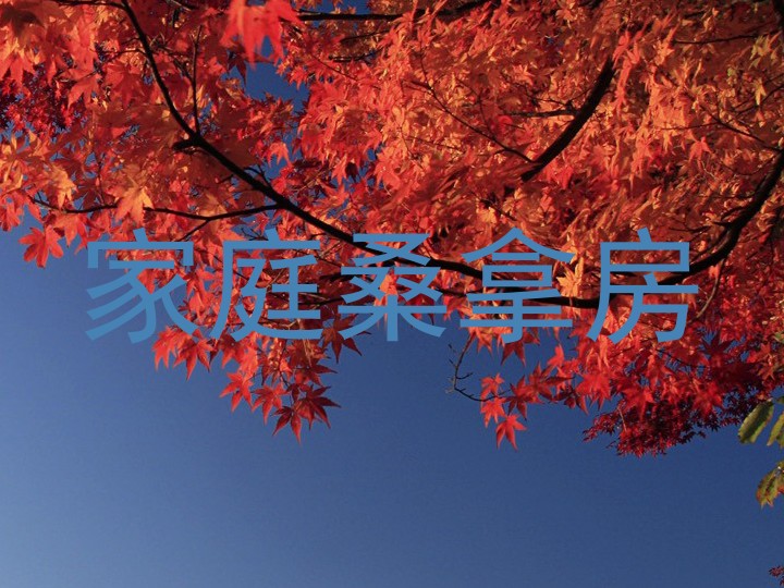家庭桑拿房