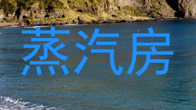 蒸汽房