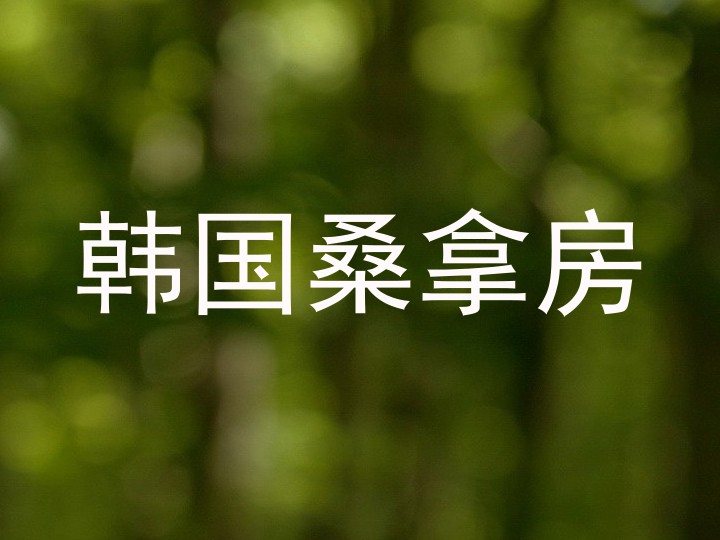 韩国桑拿房