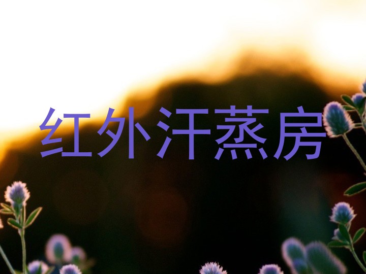 红外汗蒸房