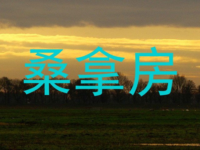 桑拿房