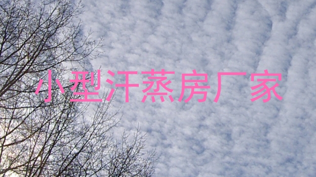 小型汗蒸房厂家