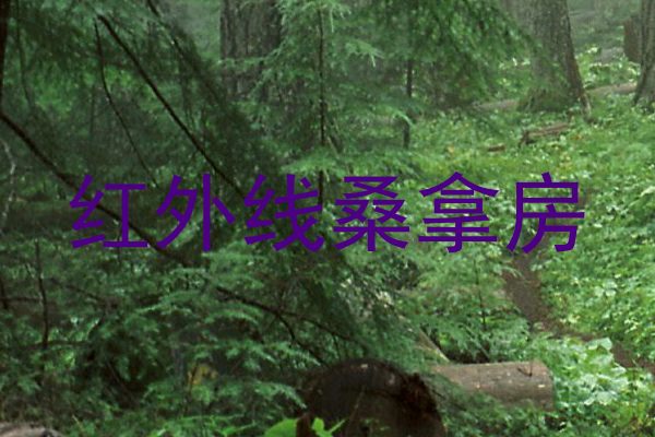 红外线桑拿房