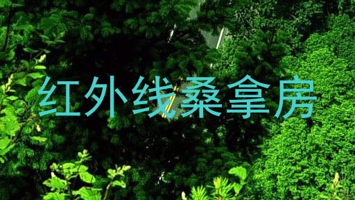 红外线桑拿房