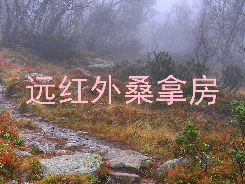 远红外桑拿房