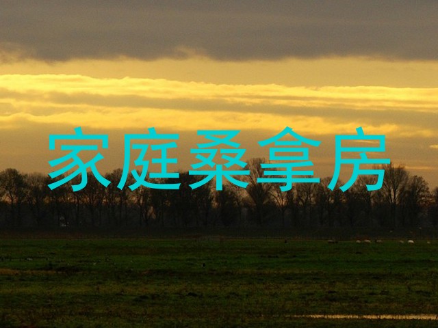 家庭桑拿房