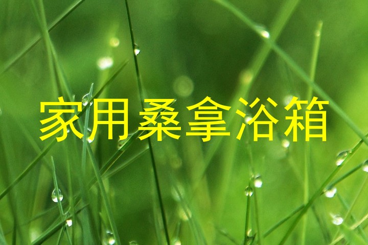 家用桑拿浴箱