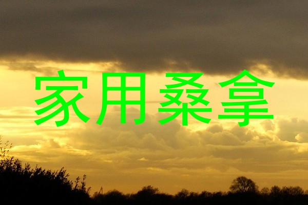 家用桑拿
