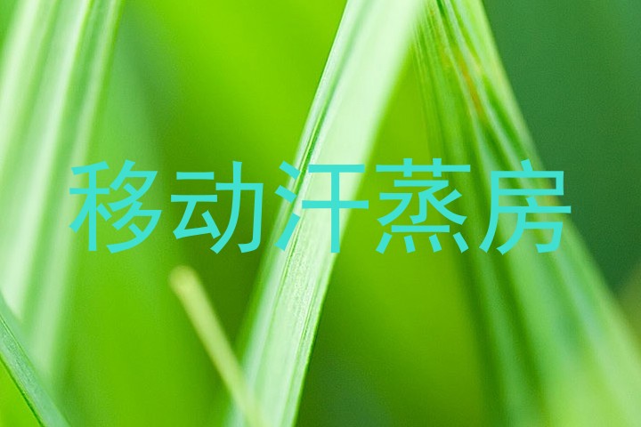 移动汗蒸房