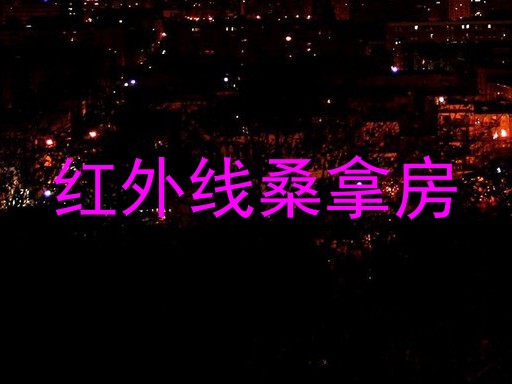 红外线桑拿房