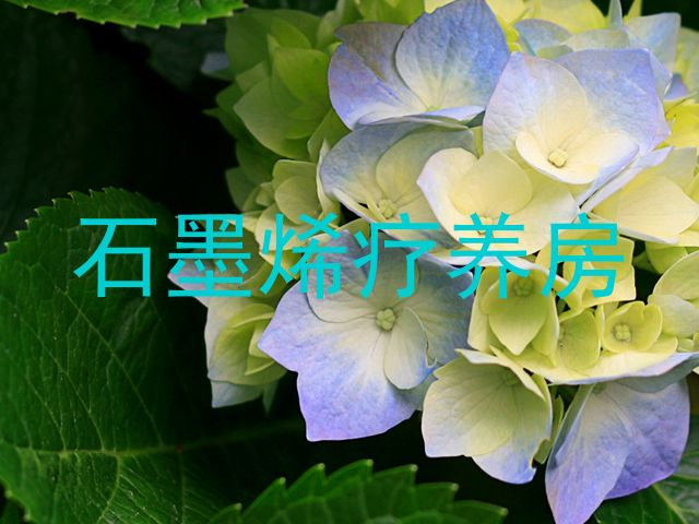 石墨烯疗养房