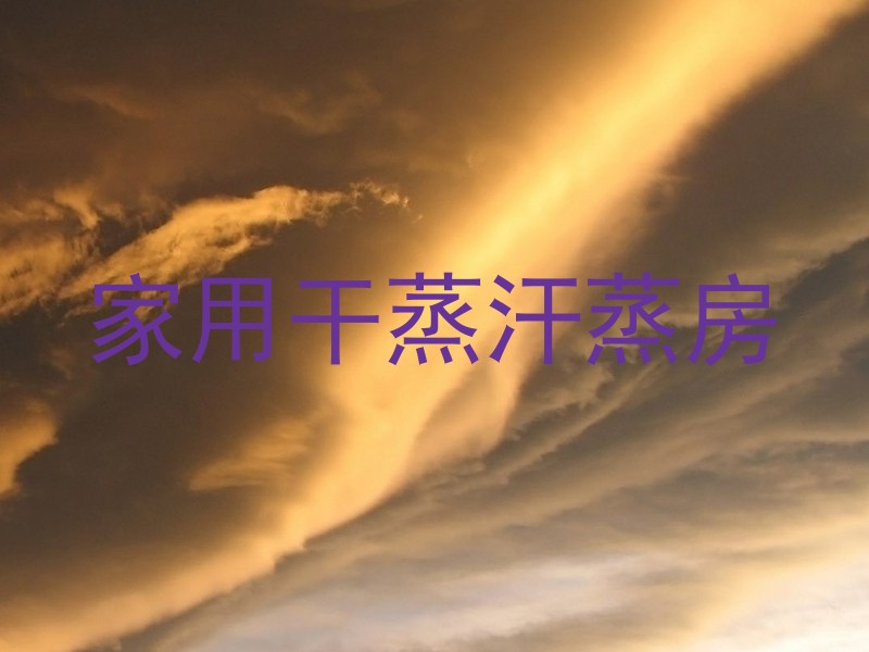 家用干蒸汗蒸房