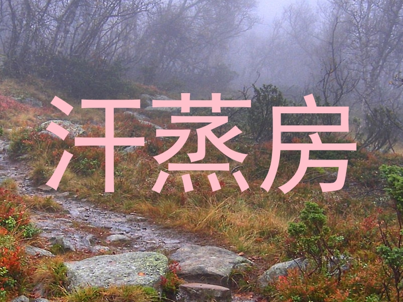 汗蒸房