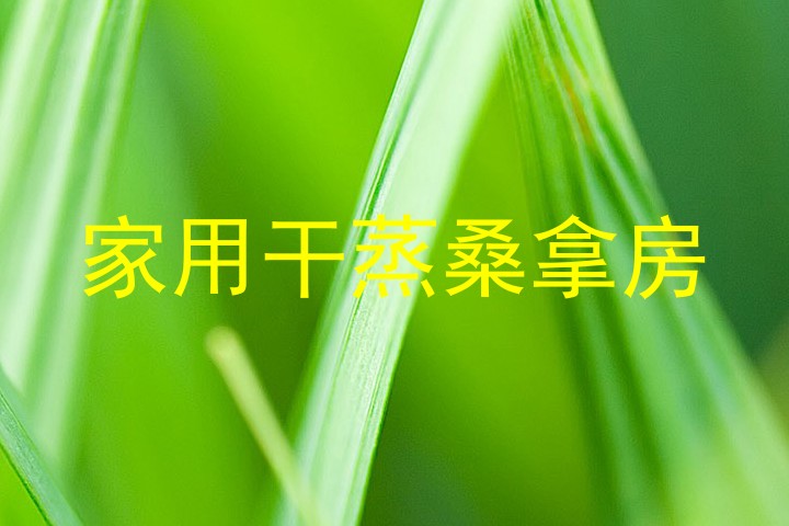 家用干蒸桑拿房