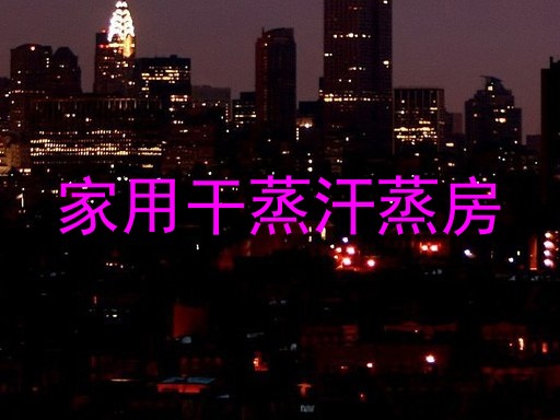 家用干蒸汗蒸房