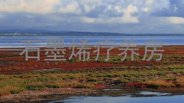 石墨烯疗养房