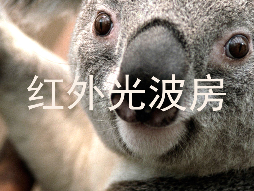 红外光波房