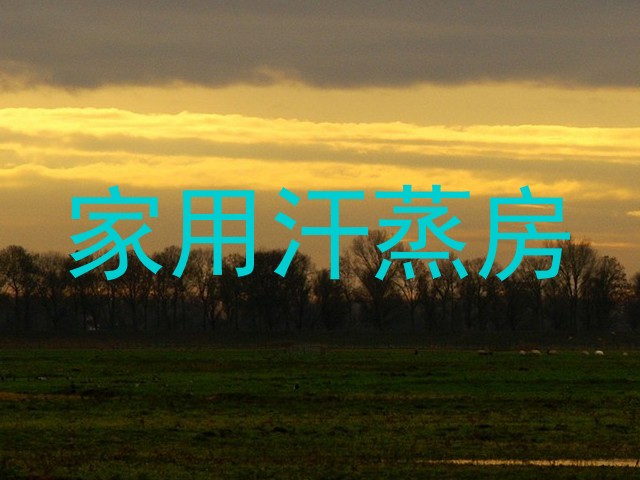 家用汗蒸房